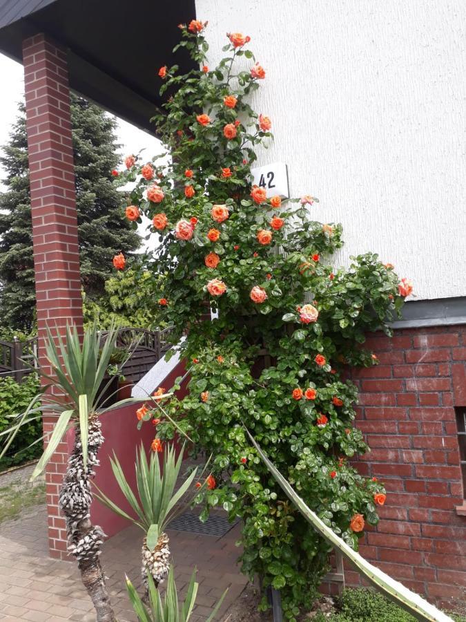 Apartamento Das Besondere Quartier In Berlin Pankow